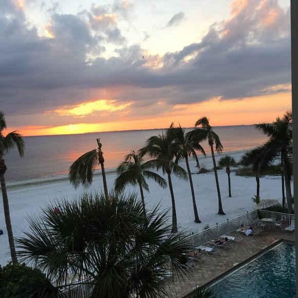 Meet your Posher, Lady Di - Picture 1 of 1